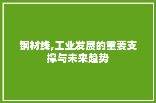 钢材线,工业发展的重要支撑与未来趋势