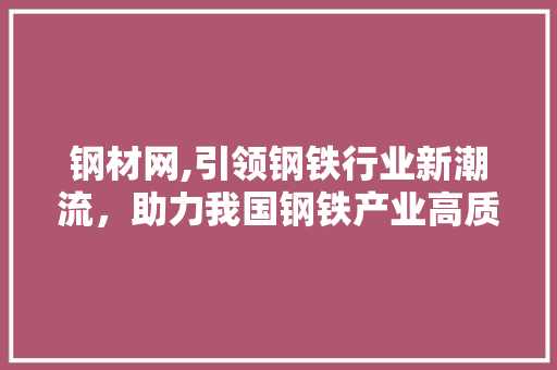 钢材网,引领钢铁行业新潮流，助力我国钢铁产业高质量发展