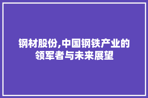 钢材股份,中国钢铁产业的领军者与未来展望