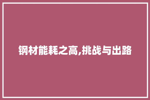 钢材能耗之高,挑战与出路