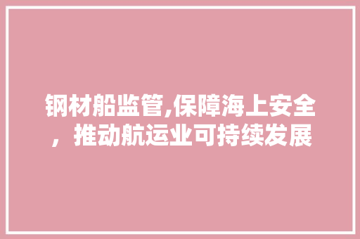 钢材船监管,保障海上安全，推动航运业可持续发展