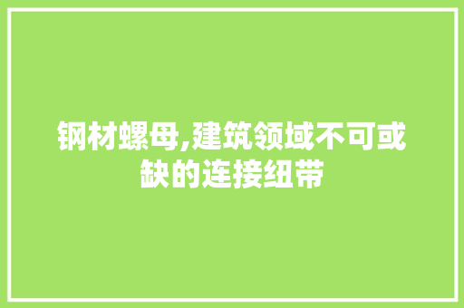 钢材螺母,建筑领域不可或缺的连接纽带