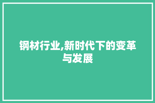 钢材行业,新时代下的变革与发展