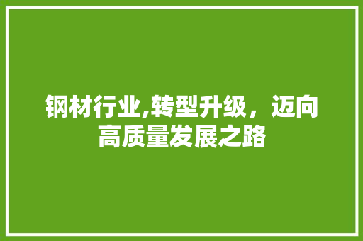 钢材行业,转型升级，迈向高质量发展之路
