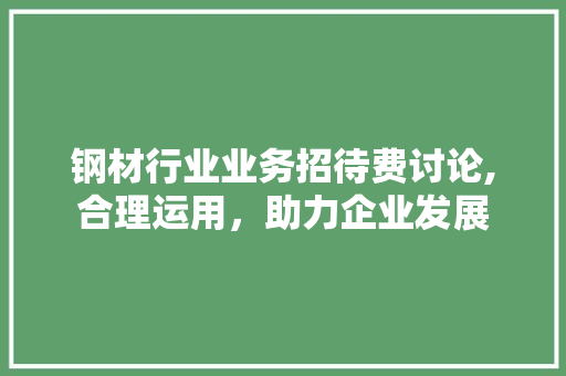 钢材行业业务招待费讨论,合理运用，助力企业发展
