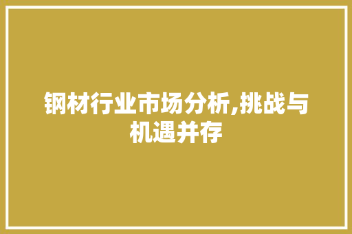 钢材行业市场分析,挑战与机遇并存