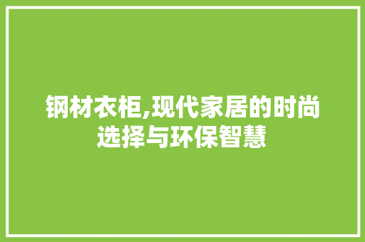 钢材衣柜,现代家居的时尚选择与环保智慧