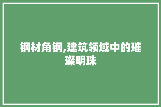 钢材角钢,建筑领域中的璀璨明珠