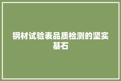 钢材试验表品质检测的坚实基石