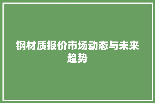 钢材质报价市场动态与未来趋势