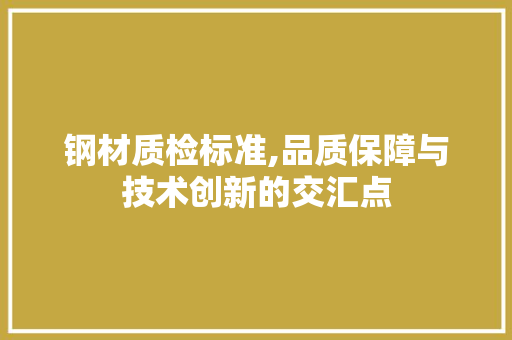 钢材质检标准,品质保障与技术创新的交汇点