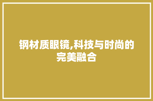 钢材质眼镜,科技与时尚的完美融合
