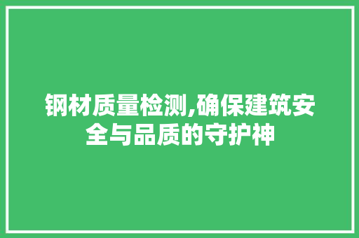 钢材质量检测,确保建筑安全与品质的守护神