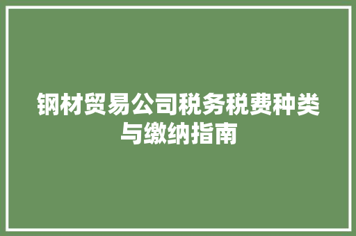 钢材贸易公司税务税费种类与缴纳指南