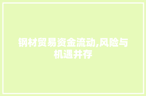 钢材贸易资金流动,风险与机遇并存