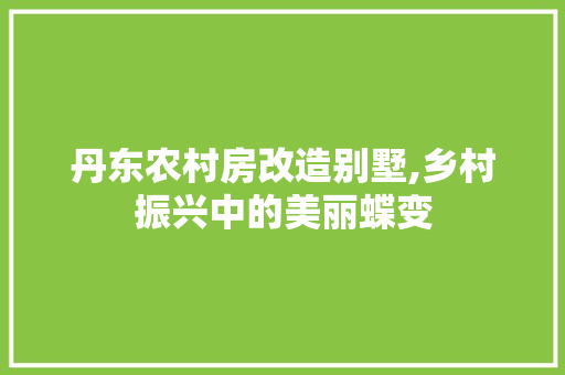 丹东农村房改造别墅,乡村振兴中的美丽蝶变