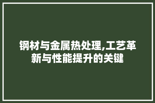 钢材与金属热处理,工艺革新与性能提升的关键