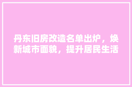 丹东旧房改造名单出炉，焕新城市面貌，提升居民生活品质