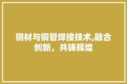 钢材与铜管焊接技术,融合创新，共铸辉煌