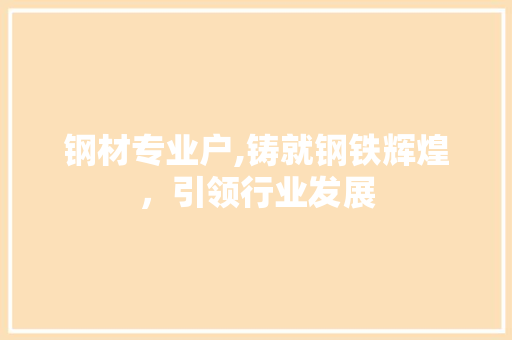 钢材专业户,铸就钢铁辉煌，引领行业发展