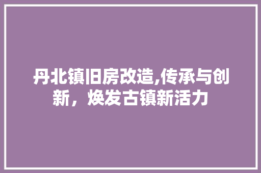 丹北镇旧房改造,传承与创新，焕发古镇新活力
