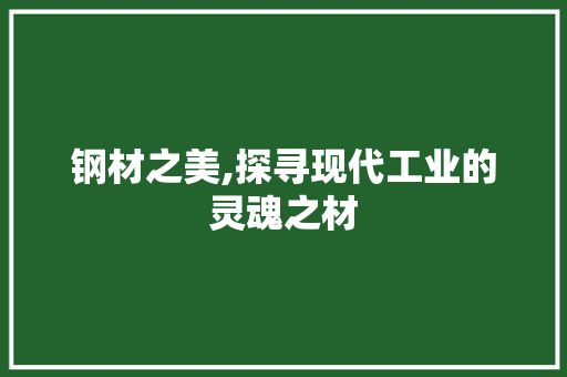 钢材之美,探寻现代工业的灵魂之材