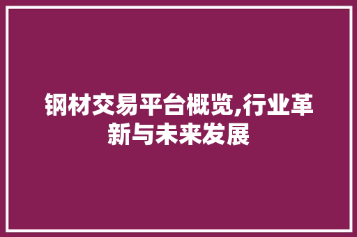 钢材交易平台概览,行业革新与未来发展