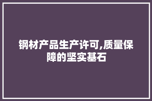 钢材产品生产许可,质量保障的坚实基石