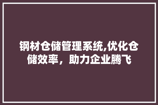 钢材仓储管理系统,优化仓储效率，助力企业腾飞