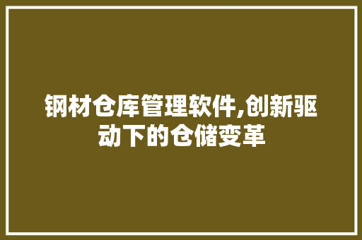 钢材仓库管理软件,创新驱动下的仓储变革