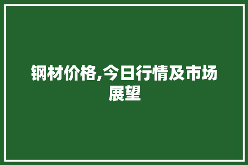钢材价格,今日行情及市场展望