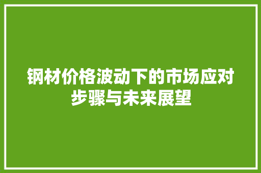 钢材价格波动下的市场应对步骤与未来展望