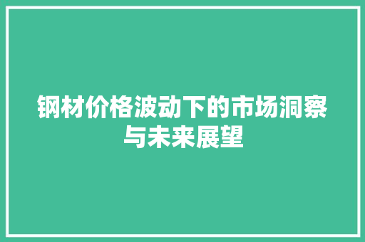 钢材价格波动下的市场洞察与未来展望