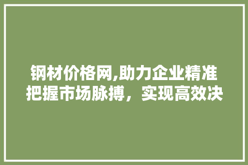 钢材价格网,助力企业精准把握市场脉搏，实现高效决策