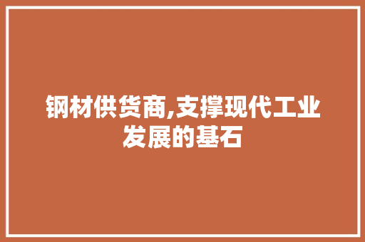钢材供货商,支撑现代工业发展的基石