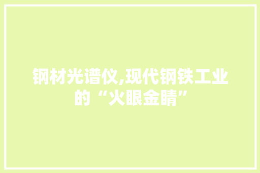 钢材光谱仪,现代钢铁工业的“火眼金睛”
