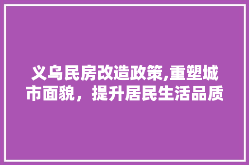 义乌民房改造政策,重塑城市面貌，提升居民生活品质