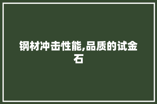 钢材冲击性能,品质的试金石