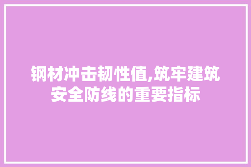 钢材冲击韧性值,筑牢建筑安全防线的重要指标