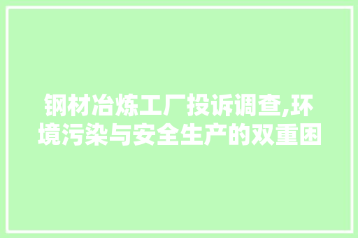 钢材冶炼工厂投诉调查,环境污染与安全生产的双重困境
