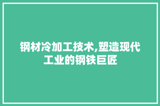 钢材冷加工技术,塑造现代工业的钢铁巨匠