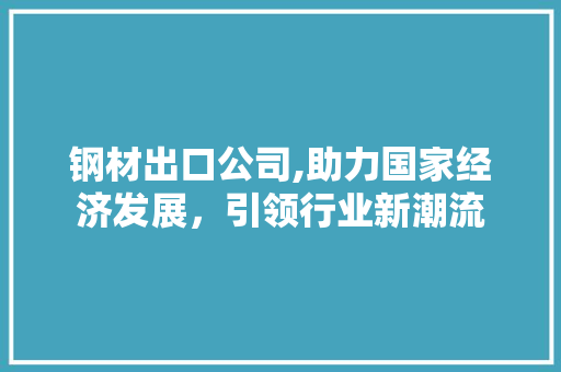 钢材出口公司,助力国家经济发展，引领行业新潮流