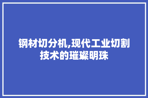 钢材切分机,现代工业切割技术的璀璨明珠
