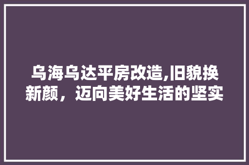 乌海乌达平房改造,旧貌换新颜，迈向美好生活的坚实步伐