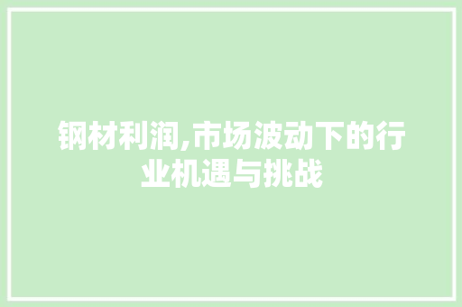 钢材利润,市场波动下的行业机遇与挑战