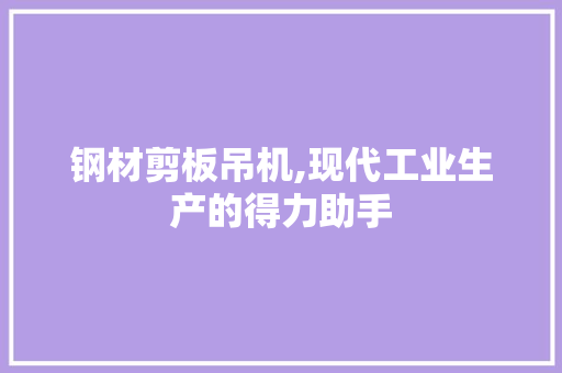 钢材剪板吊机,现代工业生产的得力助手