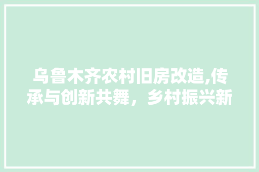乌鲁木齐农村旧房改造,传承与创新共舞，乡村振兴新篇章