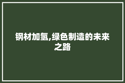 钢材加氢,绿色制造的未来之路
