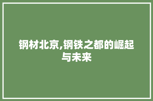 钢材北京,钢铁之都的崛起与未来