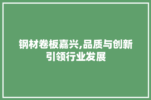 钢材卷板嘉兴,品质与创新引领行业发展